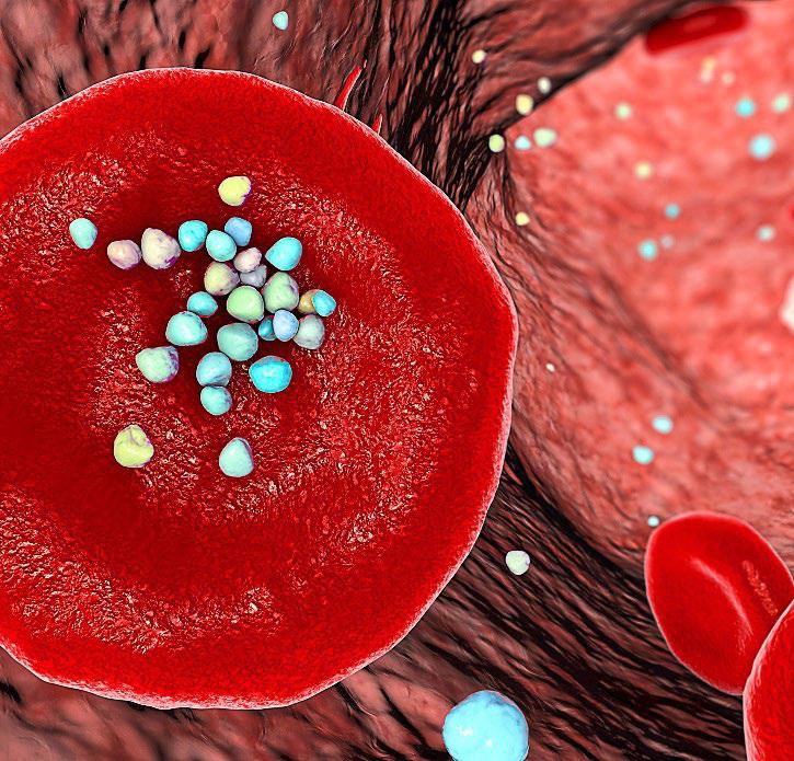 Out, damn spot: the new technology that promises to clean your blood of microplastics