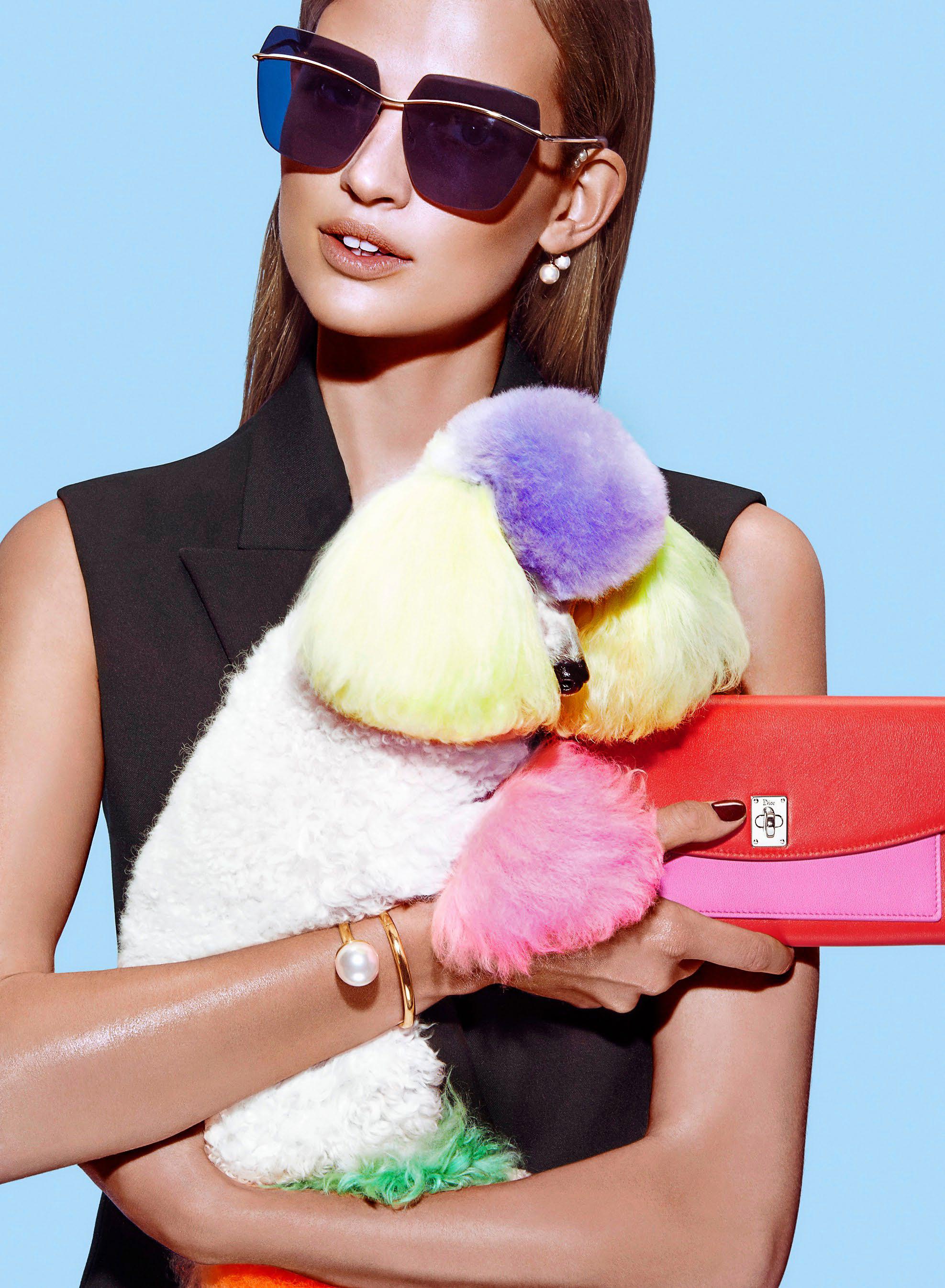 OH NO! IS MY DOG (ALL OF A SUDDEN) COMMON?