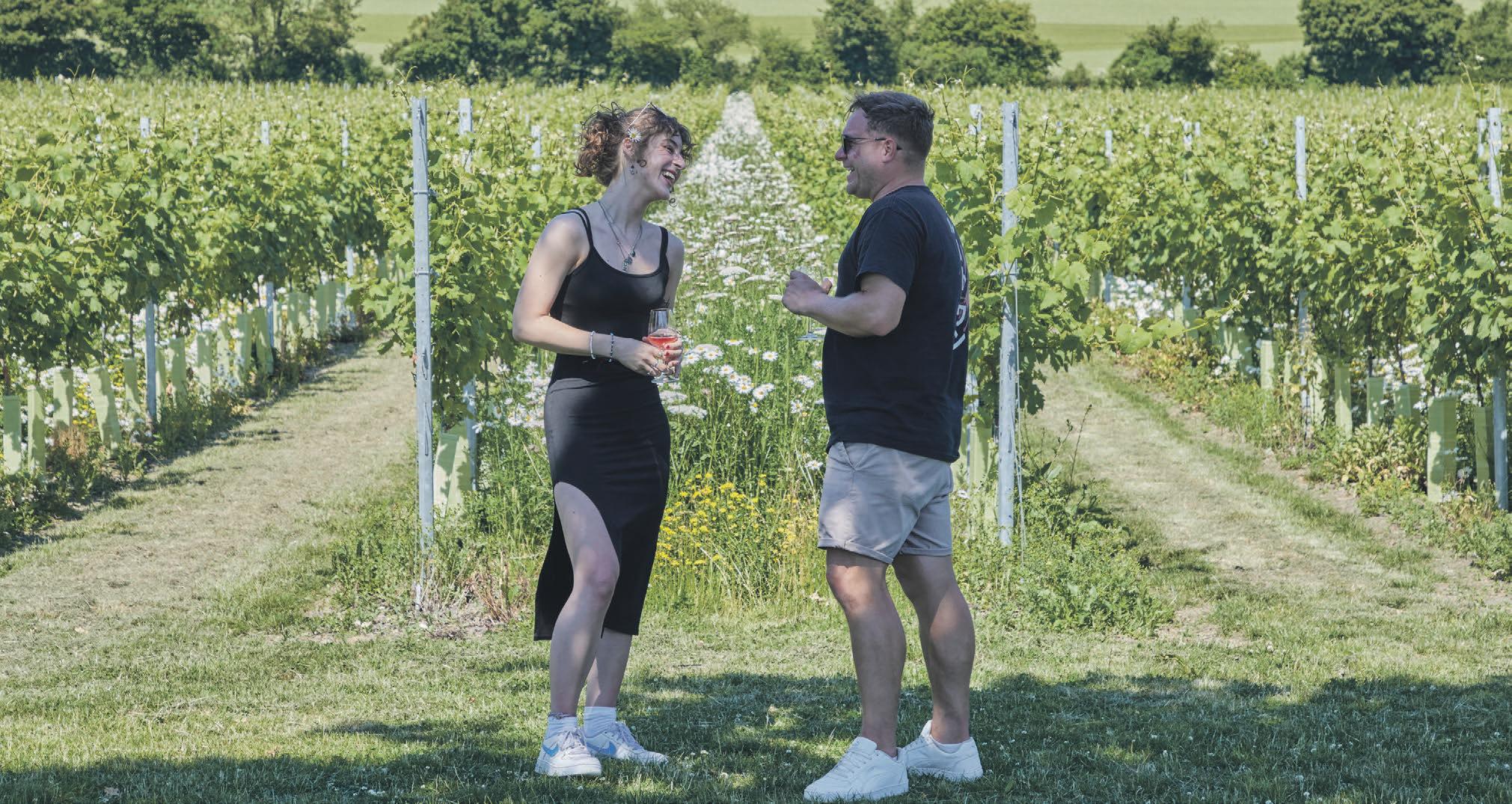 Wildshark joins the English wine scene