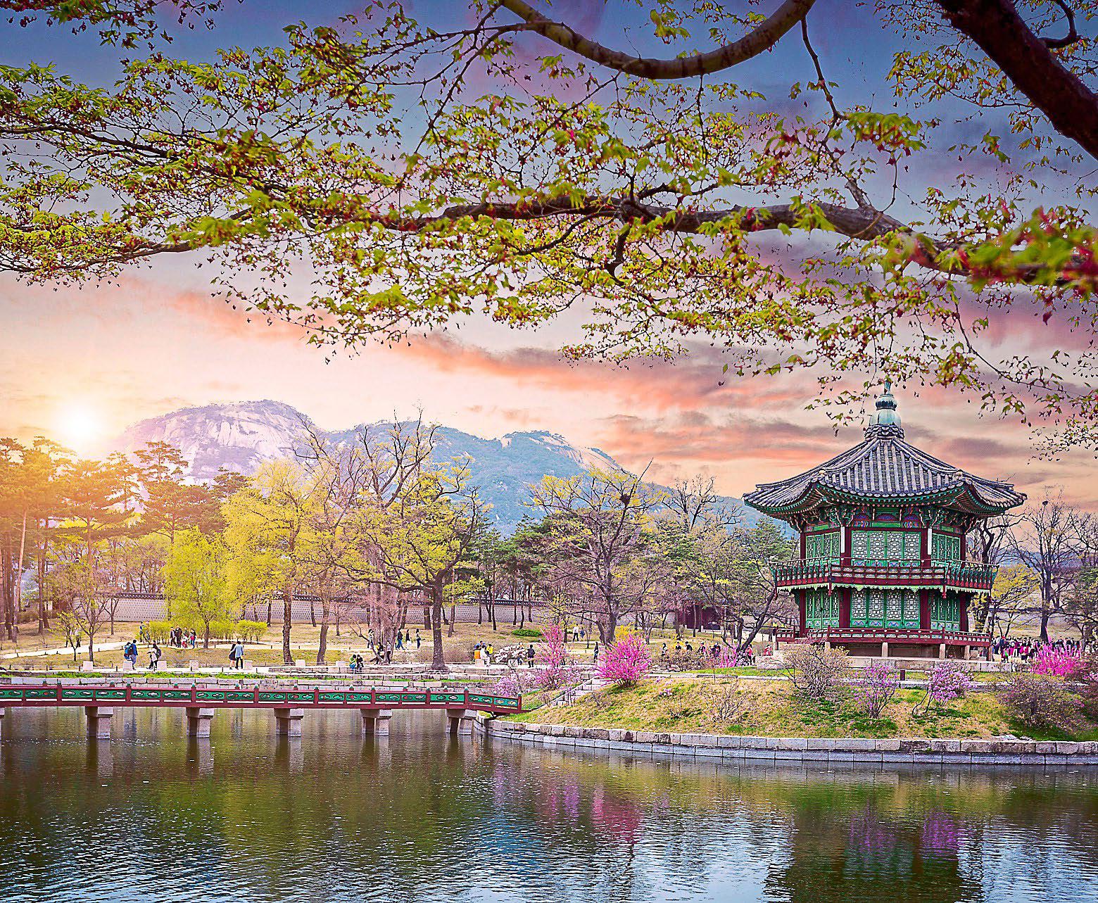 REJINA PYO ON WHY HER SOUL IS IN SEOUL