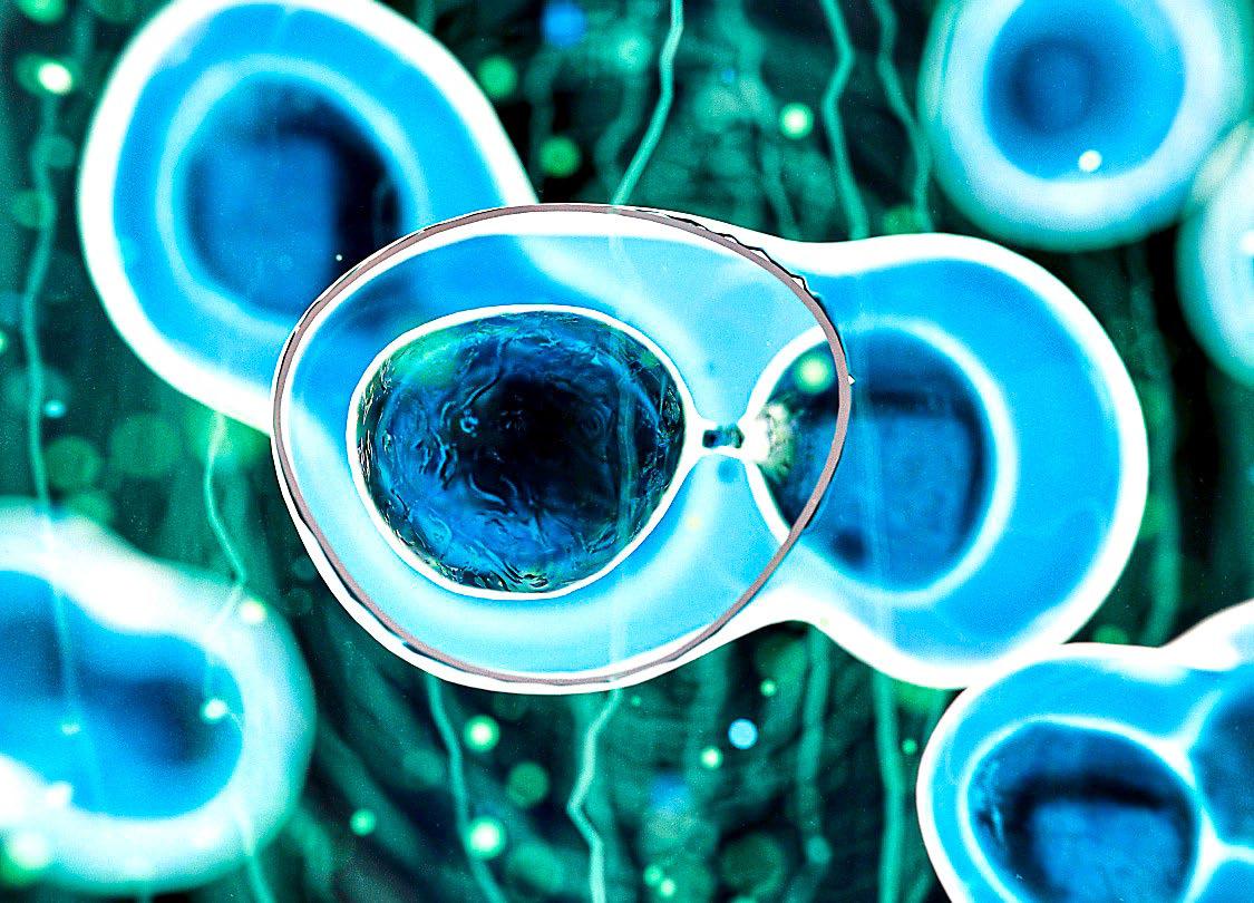 Oh baby, this stem cell longevity therapy sounds like a futuristic ride