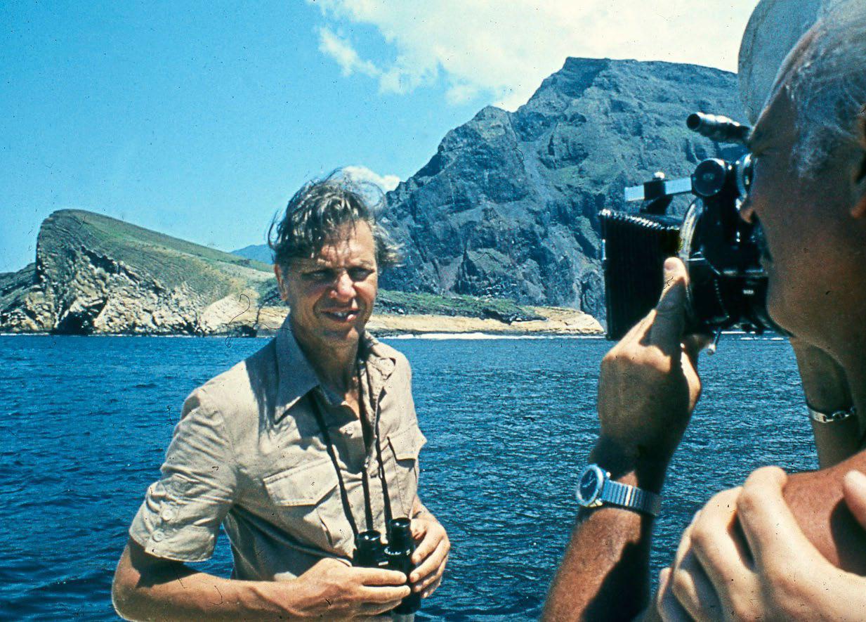 A breathtaking dive into troubled waters