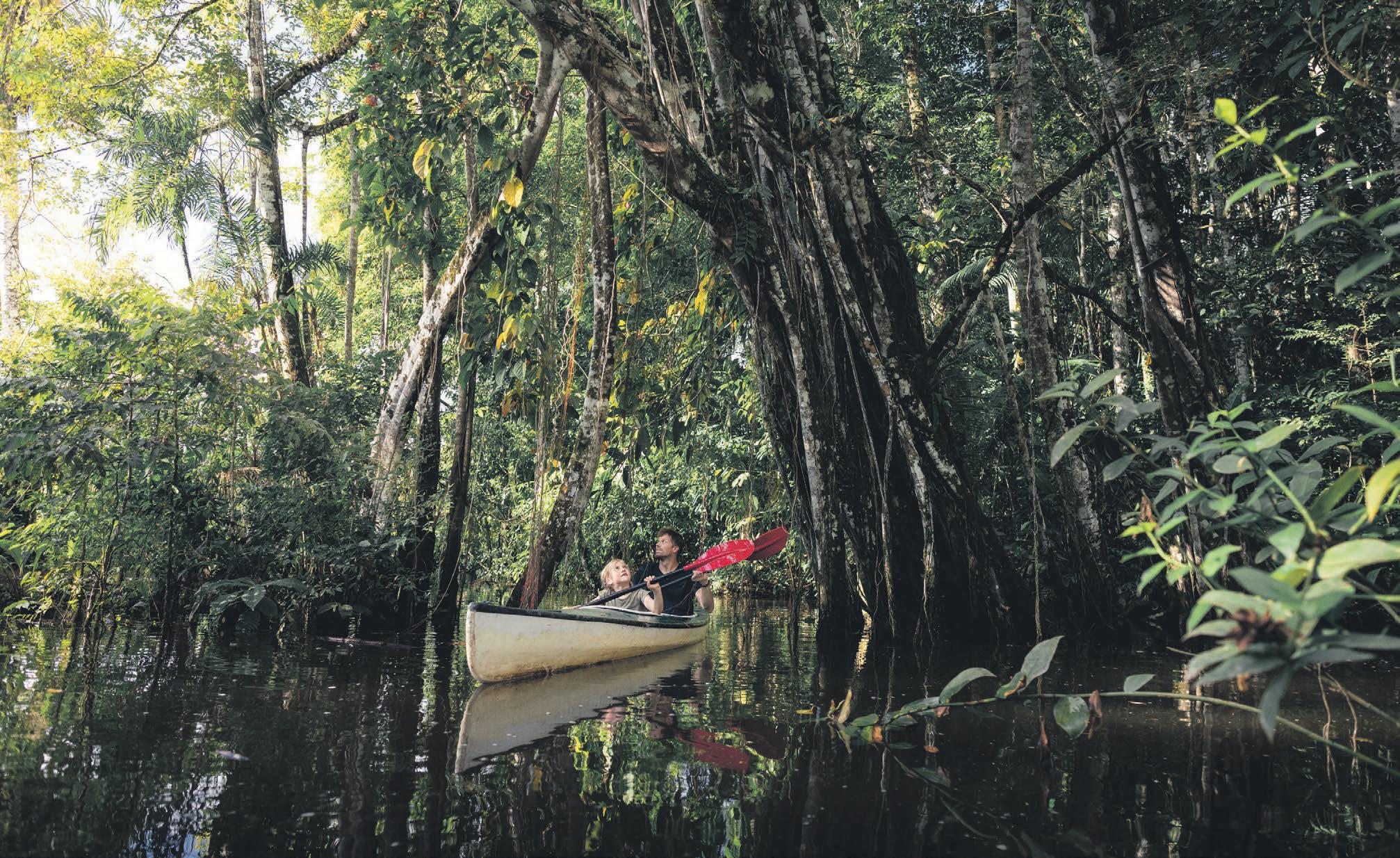 Plan the ultimate family getaway to Ecuador