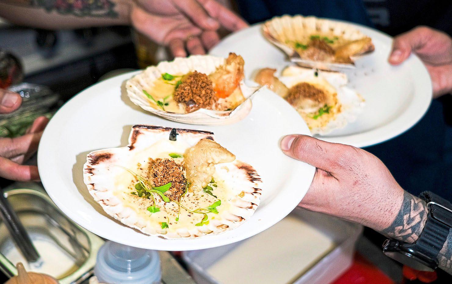 A wobbly start, but there's time for Belly to shape up