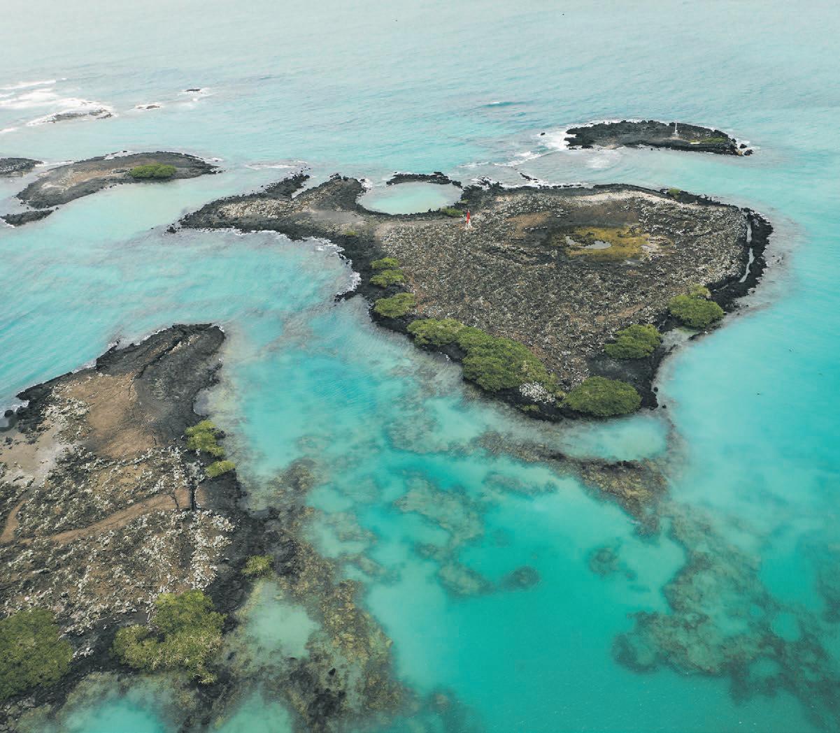 Connect with nature on a journey through Ecuador