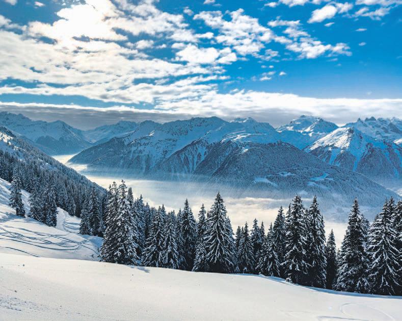 Where to ski in Austria this season