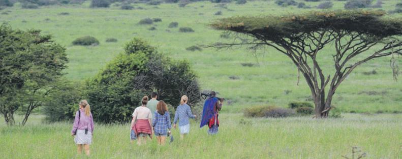 A passion for the African wilderness