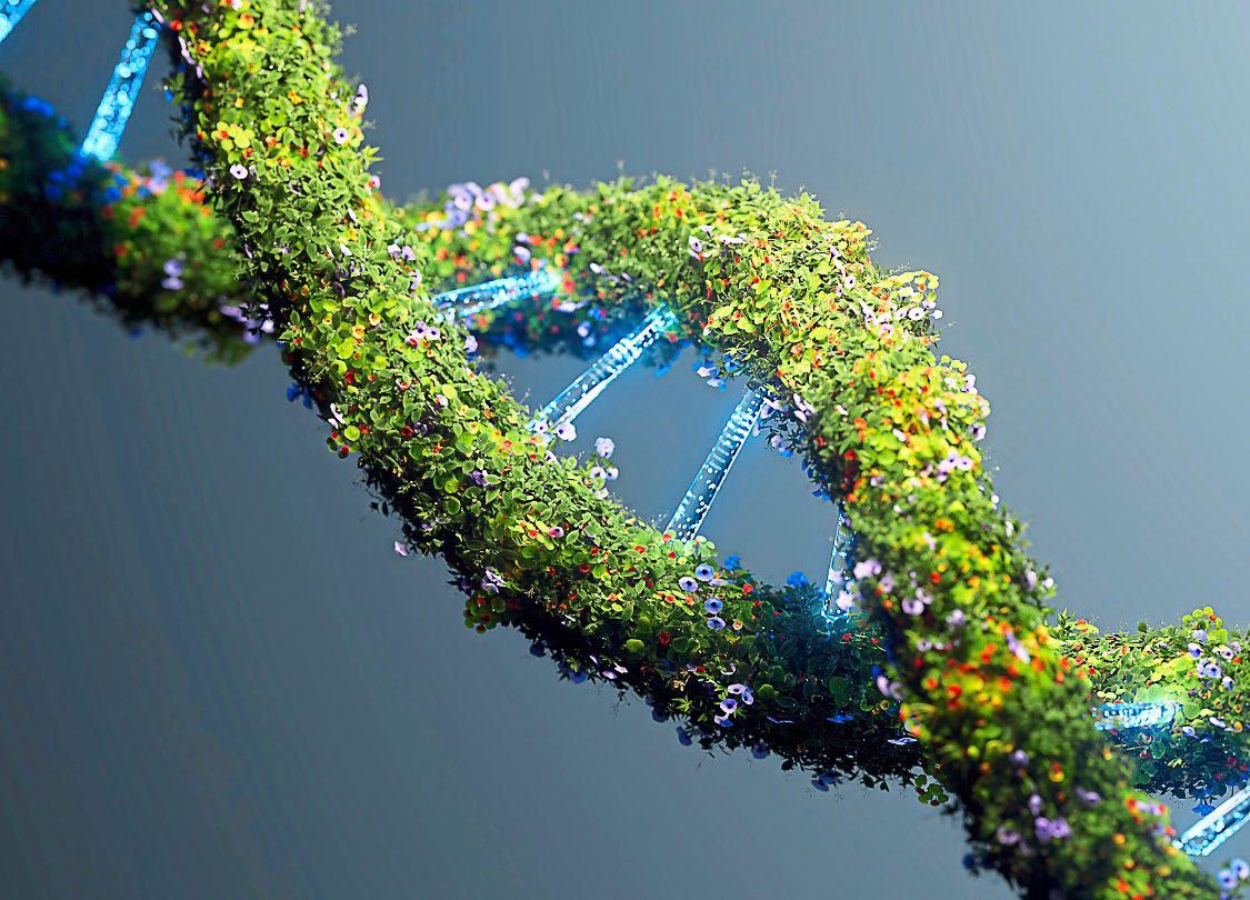 Inside the lab where scientists want to rewrite our DNA from scratch
