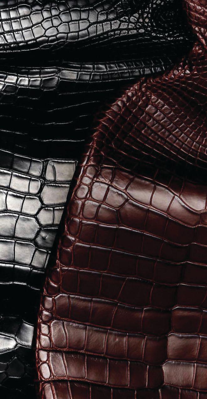 Handbags and Alligator Nuggets