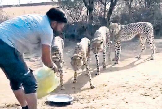 KNP begins inquiry over staff indiscipline, violation of norms