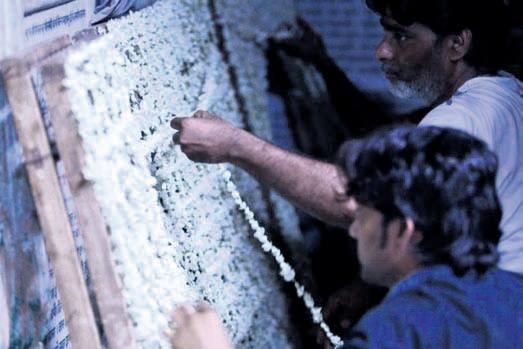Phool Bangla festival to begin April 8