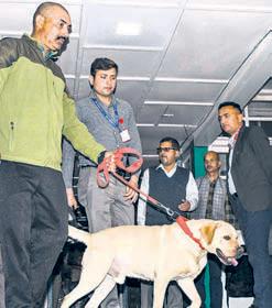 Bomb threats to chief secy, Mandi DC offices; authorities on alert