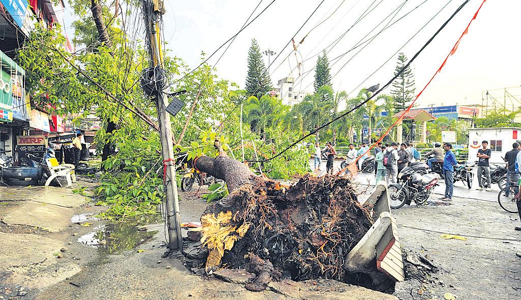 Thunderstorm, rain hit coastal Odisha; 1 dead