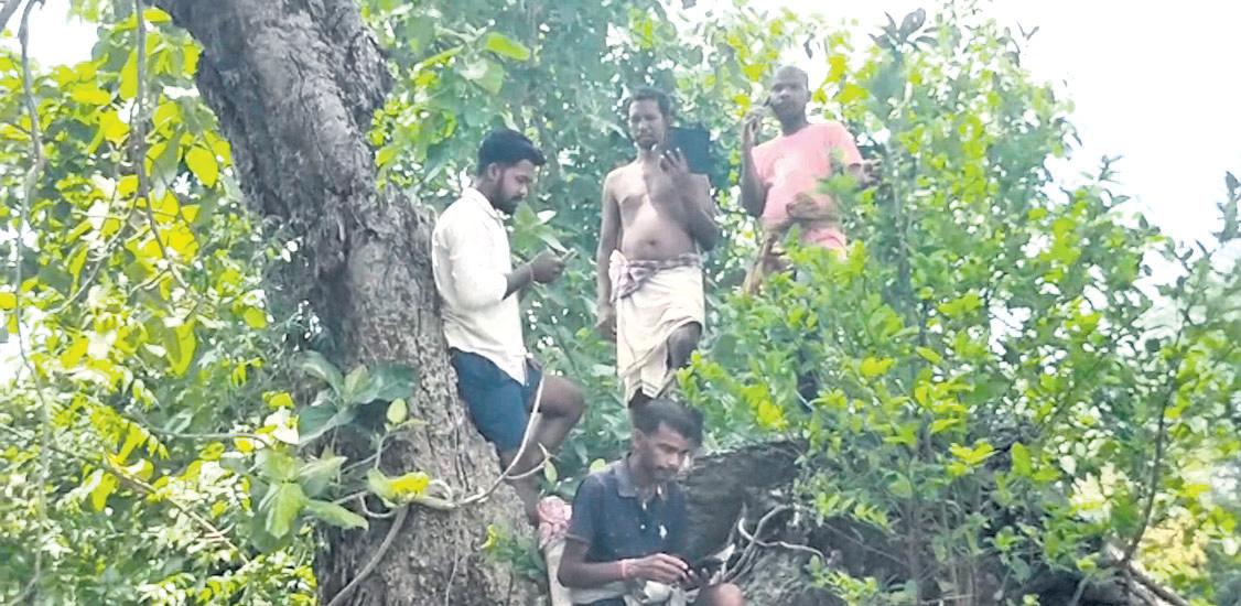 Shalachua's struggle for connectivity