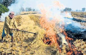 MP stubble burning alarmingly high