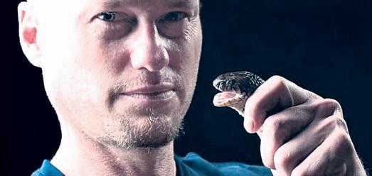 Bitten for science: DIY daredevil behind a revolutionary antivenom