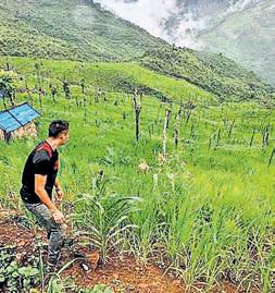 ₹380cr package for farmers' welfare in Nagaland: Chouhan