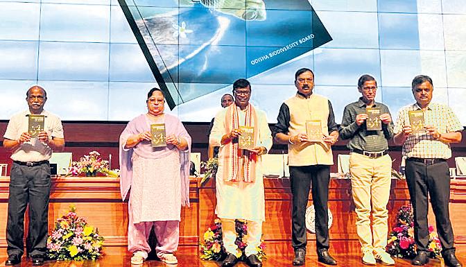 Harmony with nature key to sustainable future: Min