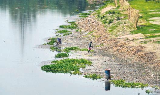 Yamuna water fails to meet quality standards