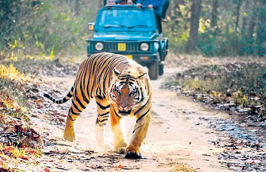 UP on track to become eco-tourism hotspot