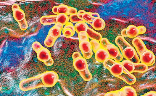 Scientists find germ that consumes hospital plastic