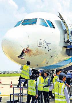 Close shave for 175 after IndiGo flight hit by vulture