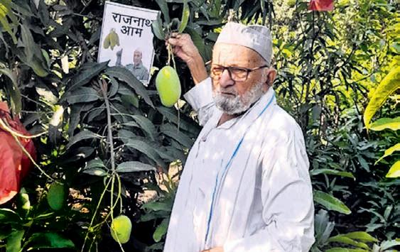 New mango variety named after Defence Minister