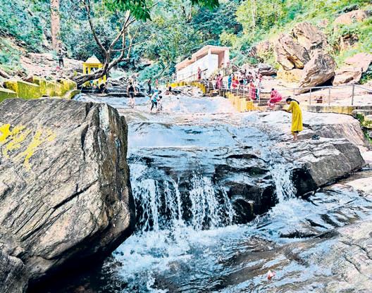 Sacred streams of Gandhamardan draw devotees seeking redemption