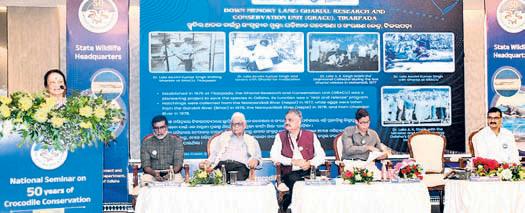 Experts chart roadmap at seminar