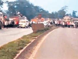 Elephant movement brings traffic to standstill