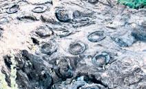 Salkhan Fossils Park joins Unesco’s tentative World Heritage List