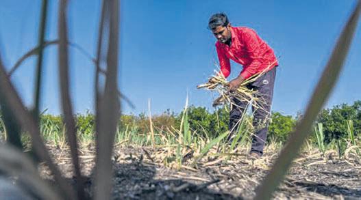 Where is farm loan waiver: Cong