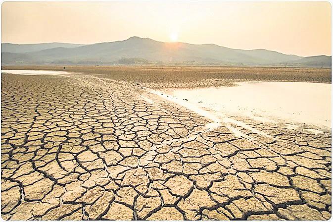 Droughts linked to rise in sexual violence in poor nations: Study