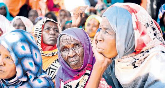 Sudanese people eat weeds, plants to survive as war rages