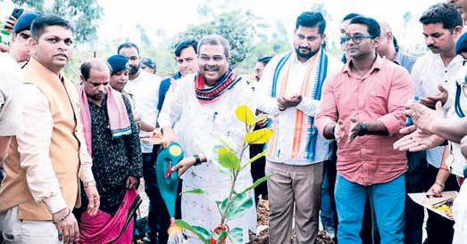 Make Sambalpur a model tree city, urges Pradhan