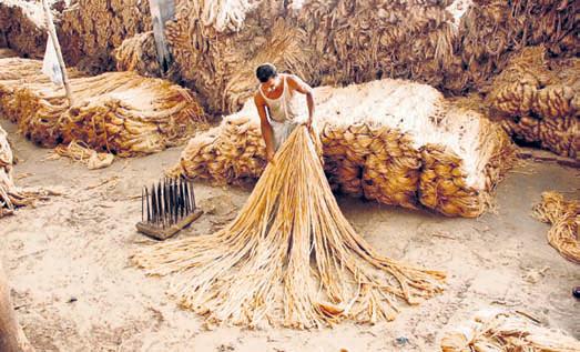 Unfair trade practices by B'desh forced India to restrict import of jute