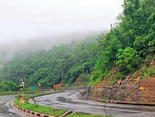 Monsoon magic at Kanjipani pulls crowd