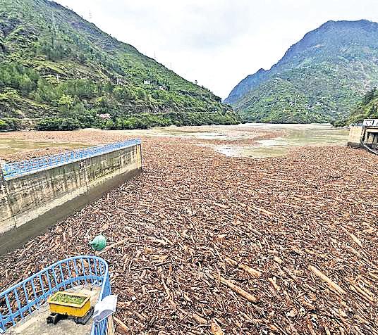 HP to probe accumulation of forest wood after cloudbursts