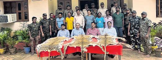 Sting op leads to arrest of 7 leopard skin smugglers
