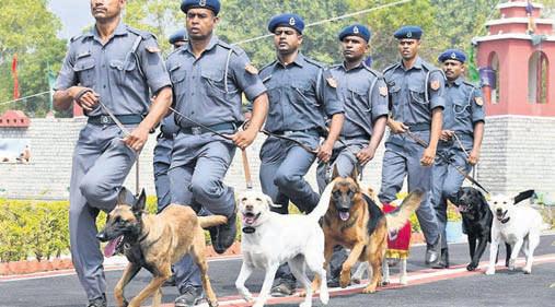 NDRF to soon commission cadaver dogs to assist in disaster ops
