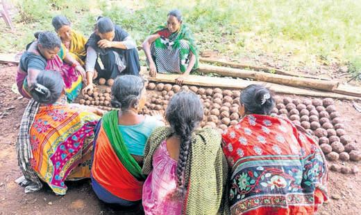 Tribal women aim to restore forests with seed balls