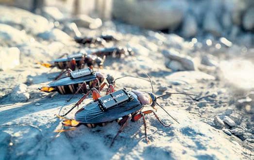 Spy cockroaches, AI robots: Germany plots the future of warfare