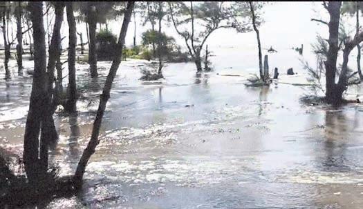 Panic as high tide erodes Siali Beach