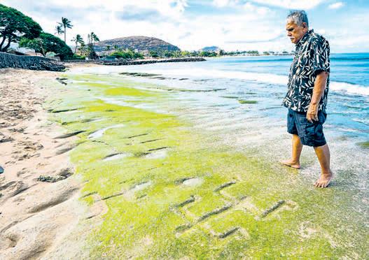 Early Hawaiian petroglyphs reemerge as tides shift, sands move