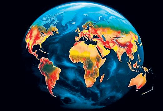 'Over 9% of world’s lands at high risk of animal-to-human infections'