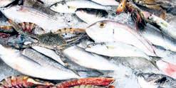 India-UK FTA to boost Odisha's seafood, handicraft exports
