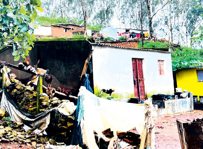 Concerns mount over illegal migrant settlements