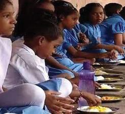 MDM: Fruits for those not consuming eggs