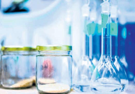 Bioengineering's role in fighting climate change