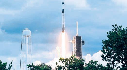 Seabuckthorn, Buckwheat seeds sent for ISS experiment